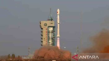 China Launches Long March 2D Rocket, Brings Eight Commercial Satellites Into Orbit