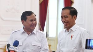 Tegas Soal Pagar Laut Dinilai Upaya Prabowo Keluar dari Bayang-bayang Jokowi