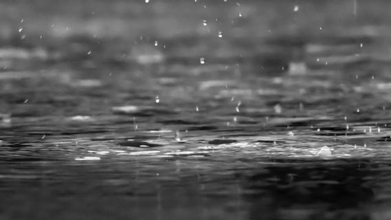 警报： BMKG 预测雅加达全天有阵雨