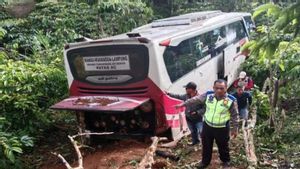 Sopir Terhalang Kabut, Bus Bawa 18 Orang Masuk Jurang di Lampung Barat
