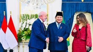 Momen Keakraban Presiden Prabowo dan Presiden Lula di Istana Merdeka