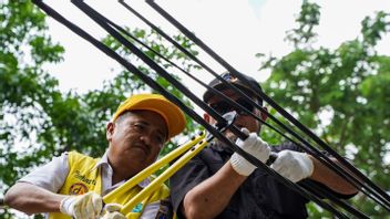 Kabel Udara di kawasan KSD Jakpus Kembali Diputus Oleh Sudin Bina Marga