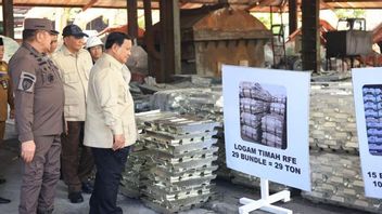 Jaksa Agung Sebut 5.209 Hektare Lahan Tambang Ilegal Kembali Dikuasi Negara