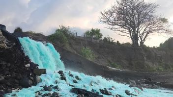 DLHK NTB Panggil Perusahaan Tambak Udang Buang Limbah ke Pantai 