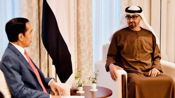 الرئيس جوكوي يدعو الأمير محمد بن زايد إلى قمة مجموعة العشرين في بالي