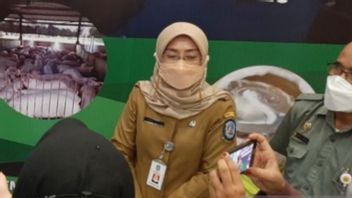 DKP2KH Kepri Bagikan 30 Ribu Bibit Cabai untuk Ditanam di Rumah Warga