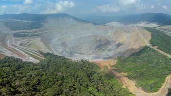 Have 460 Million Tons Of Reserves, Amman Mineral's Green Stone Mining Enters Phase 8