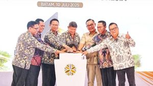 Hashim Djojohadikusumo Singgung PLTA Kayan Hydro Energy Saat Resmikan Pabrik Timah di Batam
