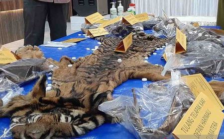 Jaksa Tuntut Ayah-Anak Terdakwa Penjual Kulit Harimau 2 Tahun Penjara