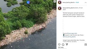 Sampah Terhampar di Pantai Mangrove Muara Angke, Pemprov DKI Sebut Akibat Terbawa Arus dari Wilayah Lain