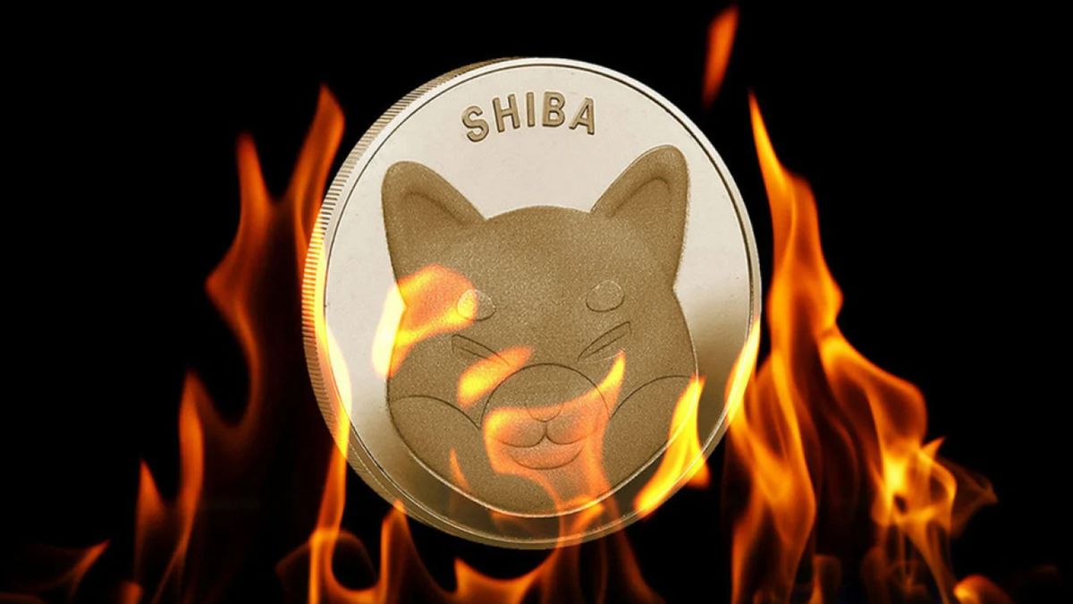 Shiba Inu Alami Lonjakan Burn Rate 8000%