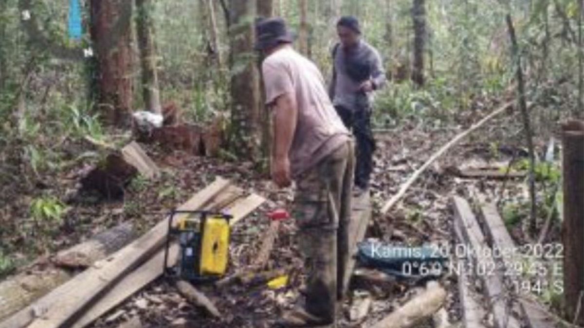 リアウ州ペララワンの野生生物保護区の森林を略奪 BBKSDAがレンガット住民の加害者を逮捕 イニシャルAB