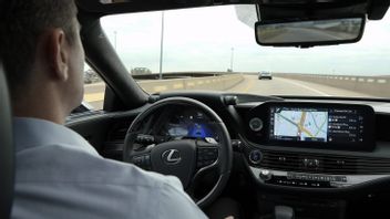 Getting To Know Teammate From Lexus Praised By IIHS