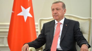 Dua Polisi Turki Tewas dalam Serangan Teroris YPG di Suriah, Presiden Erdogan: Kami Sudah Kehabisan Kesabaran
