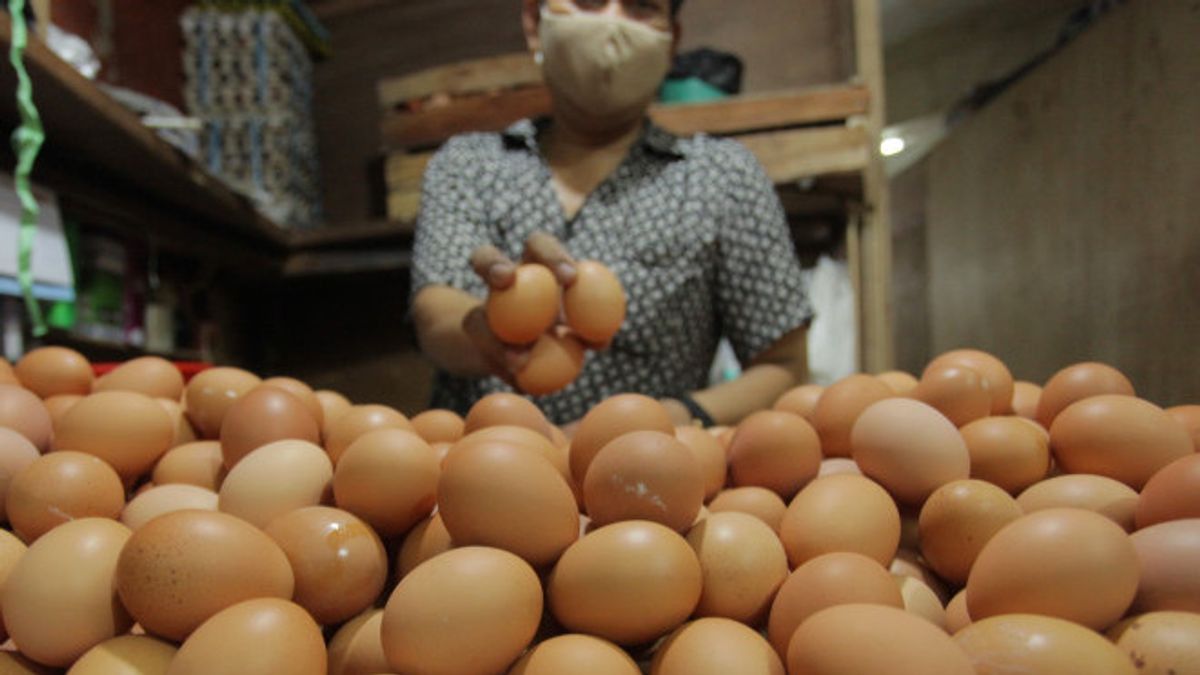 Harga Telur Ayam Ras Naik Mendekati Tahun Baru, Permintaan Semakin Meningkat