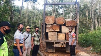 Mystérieux Trieur De Bois Dans La Zone Forestière Concession De PT BRM Nagari Devient La Cible Du Poste De Police De Dharmasraya, Sumbar 