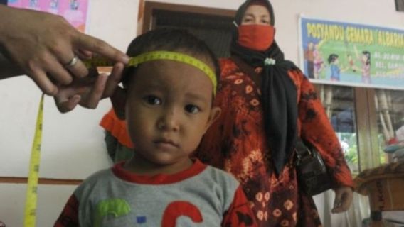 بحاجة إلى مساعدة من العديد من الأطراف ، 2,693 طفلا صغيرا في Hulu Sungai Utara Kalsel Alami التقزم