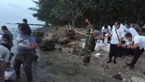 Prajurit TNI AL Gagalkan Penyelundupan Benur Lobster Rp7,8 Miliar