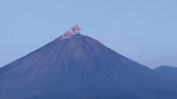 セメルの噴火は噴火高さで600メートルに達する