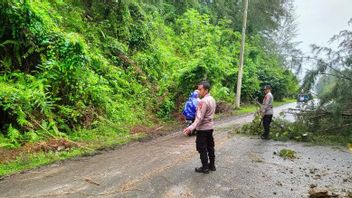 亚齐居民在雨季需要注意，潜在的山体滑坡和高树