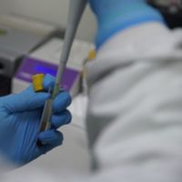 Satgas COVID-19: Belum Ada Kepastian Lama Kekebalan Vaksin COVID-19 di Tubuh