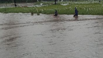 比马NTB的四个村庄遭受洪水袭击