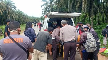 Livina's Car Hits A Palm Tree In Sanggau, West Kalimantan, 5 People Die Orang