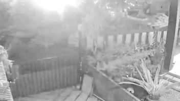 PVMBG: Dentuman dan Kilatan Cahaya di Cianjur Fenomena Atmosfer-Geofisika