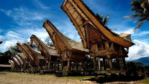 Minuman Khas Sulawesi yang Bisa Jadi Oleh-oleh Wisatawan