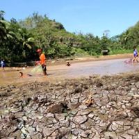 Waspada! 21 Kecamatan di DIY Dalam Status Awas Kekeringan