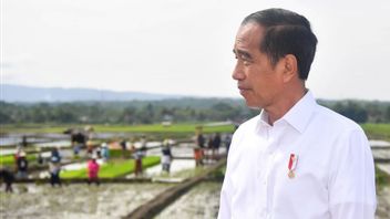 Luhut Akui حصلت على مهمة جديدة من Jokowi ، ما هو هذا؟