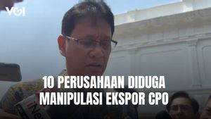 Purbaya will report 10 companies that manipulate CPO exports to President Prabowo Subianto