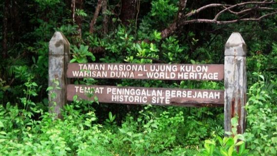 歴史の今日 1937年6月24日:ウジュンクロン国立公園が野生生物保護区に指定