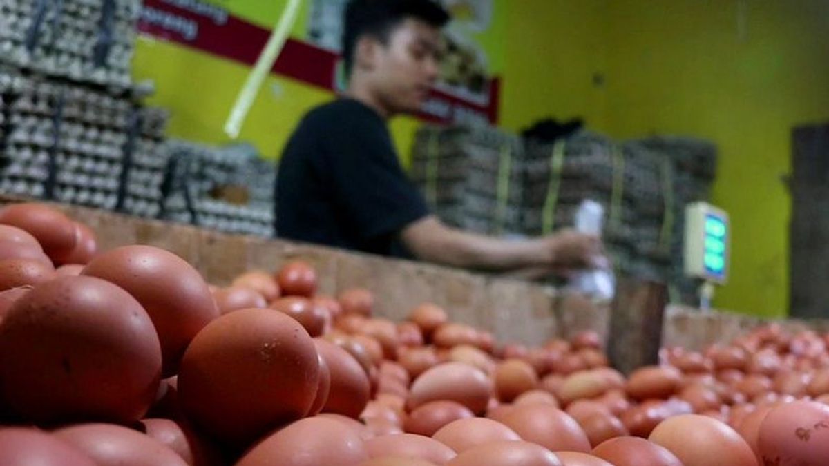 The Minister Of Trade, Zulkifli Hasan, Said That The Increase In The Price Of Chicken Eggs Should Not Be A Fuss