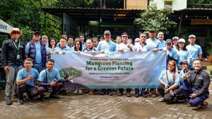 360Kredi Gandeng Komunitas Tunanetra Tanam Mangrove Pesisir Jakarta