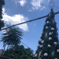 5 Rekomendasi Kota Wisata Perbukitan yang Asyik untuk Libur Natal dan Tahun Baru