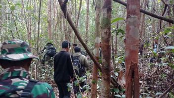 بعد أسبوع من اختفاء سكان كاليمانتان الغربية، نصبت TNI-POLRI خياما في غابة الحدود بين إندونيسيا وماليزيا 