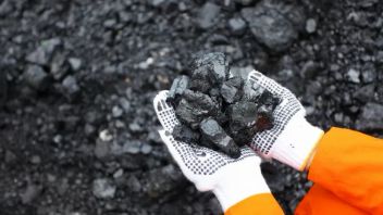 RMKE Projects Stable Coal Prices At 55 US Dollars Per Ton Until The End Of The Year
