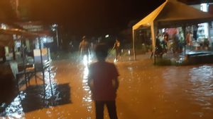 Banjir Rendam Puluhan Rumah Hingga 5 Hektare Lahan Pertanian di Solok Selatan