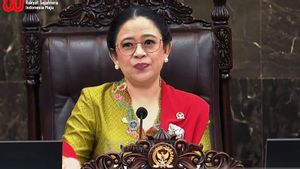 Soroti Perang Dagang hingga Ketimpangan Ekonomi Makin Tajam, Puan Minta Pemerintah Was-was