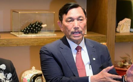 Investasi Asing Dikebut, Luhut: RS Australia dan Singapura akan Masuk ke Indonesia, Sudah Disetujui Jokowi