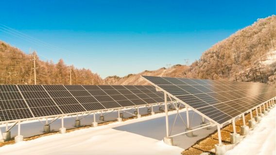 Small Steps to Build a Greener and Sustainable Life