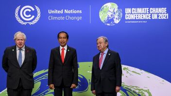 Greenomics: President Jokowi's Speech At COP26 According To Satellite Data