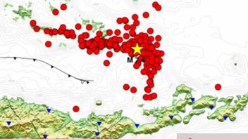 フローレス海で267余震が発生