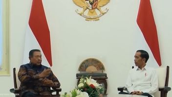 佐科威在茂物宫与SBY会面的内容