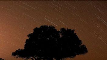 Lapan: Perseid Meteor Shower Peak Occurs August 12-13