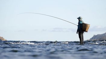 あなたが使うことができる海の釣りのための餌, このリスト