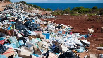 7种塑料废物的种类，产品示例，以及如何管理它，使其不污染环境
