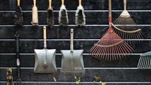 7 Peralatan Berkebun yang Wajib Dimiliki di Rumah