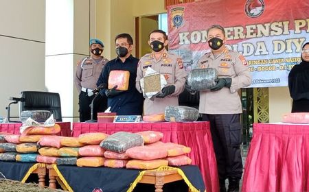 Hasil Pengembangan, Polda DIY Ungkap Dua Hektare Ganja